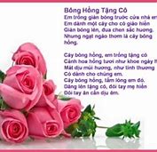 Bông Hồng Tặng Cô