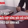 Cá Nhân Được Cung Cấp Dịch Vụ Môi Giới Bất Động Sản Sau Khi Có Chứng Chỉ Môi Giới Bất Động Sản