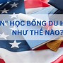 Du Học Mỹ Ptth Tại Việt Nam 2024 Mới Nhất