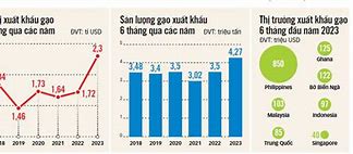 Tình Hình Xuất Khẩu Gạo Của Việt Nam Năm 2023