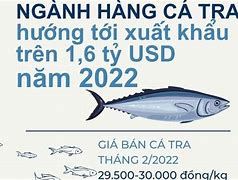 Xuất Khẩu Cá Tra 6 2022 Giá Bao Nhiêu Ở Việt Nam